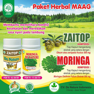 Illustration for article titled Obat Maag Herbal